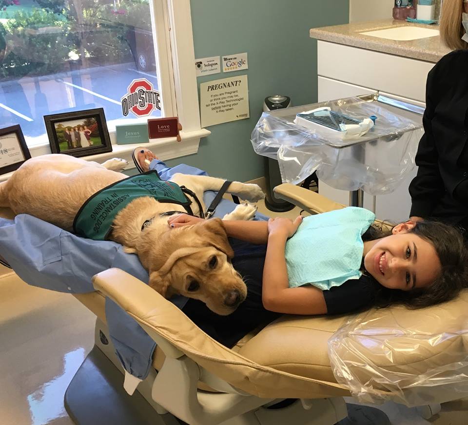 Successfully Utilizing a Service Facility Dog in a Dental Practice